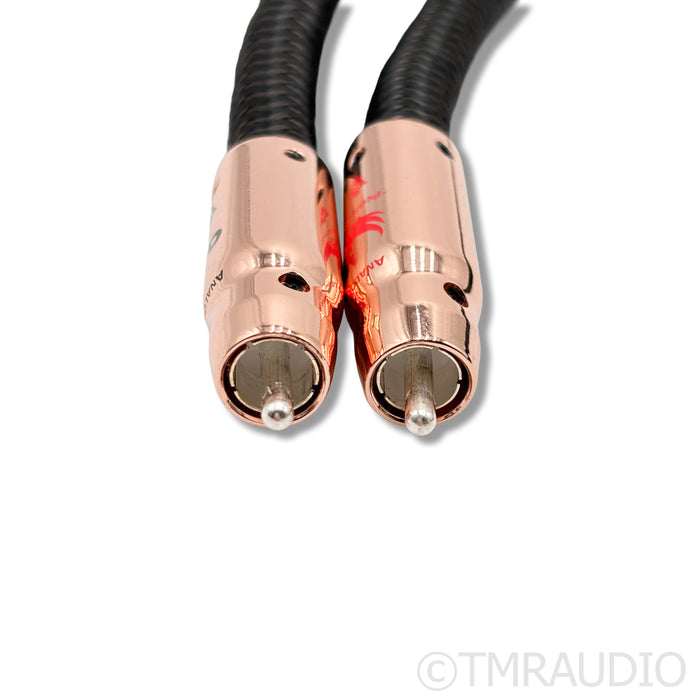AudioQuest Pegasus RCA Interconnects; 2m Pair