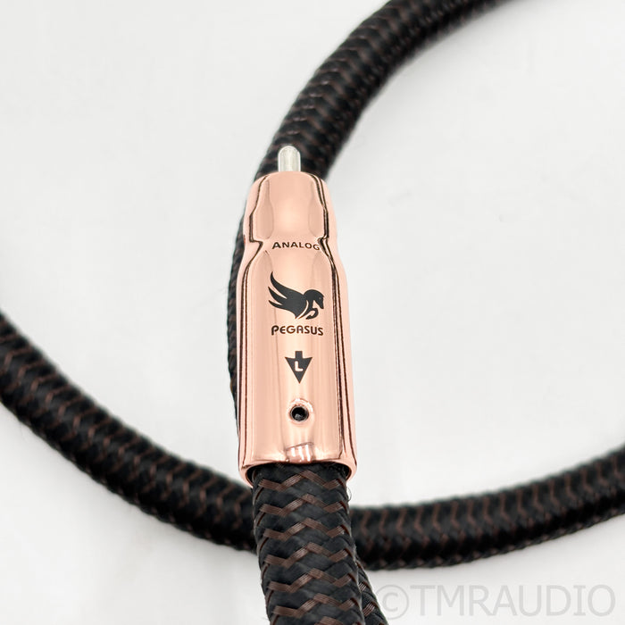 AudioQuest Pegasus RCA Interconnects; 2m Pair