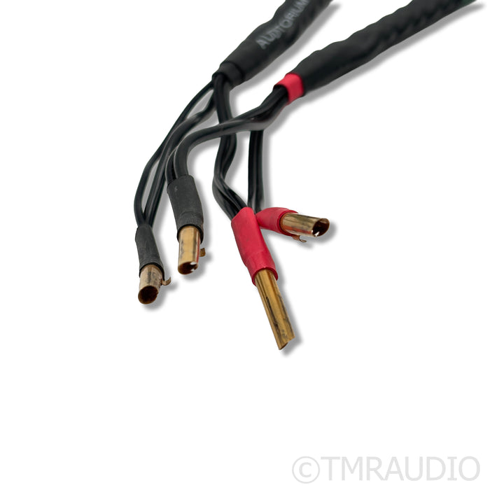 Auditorium 23 A23 Speaker Cable Pair; 4m