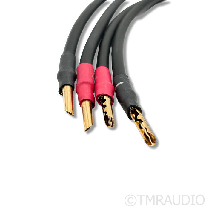 Synergistic Research Atmosphere SX Alive Speaker Cables; 6ft Pair