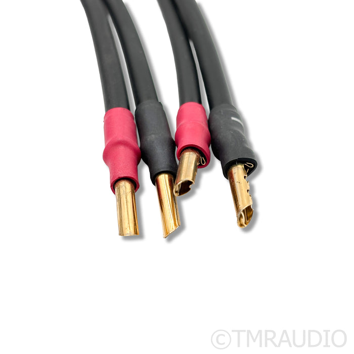 Synergistic Research Atmosphere SX Alive Speaker Cables; 6ft Pair