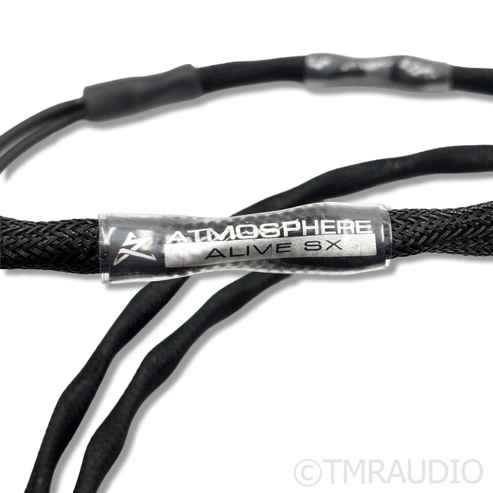 Synergistic Research Atmosphere SX Alive Speaker Cables; 6ft Pair