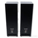 Zu Audio DW6 Superfly Floorstanding Speakers; Black