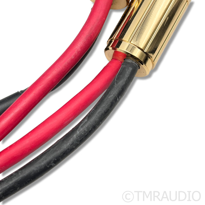 McIntosh CS6M Speaker Cables; 6m Pair