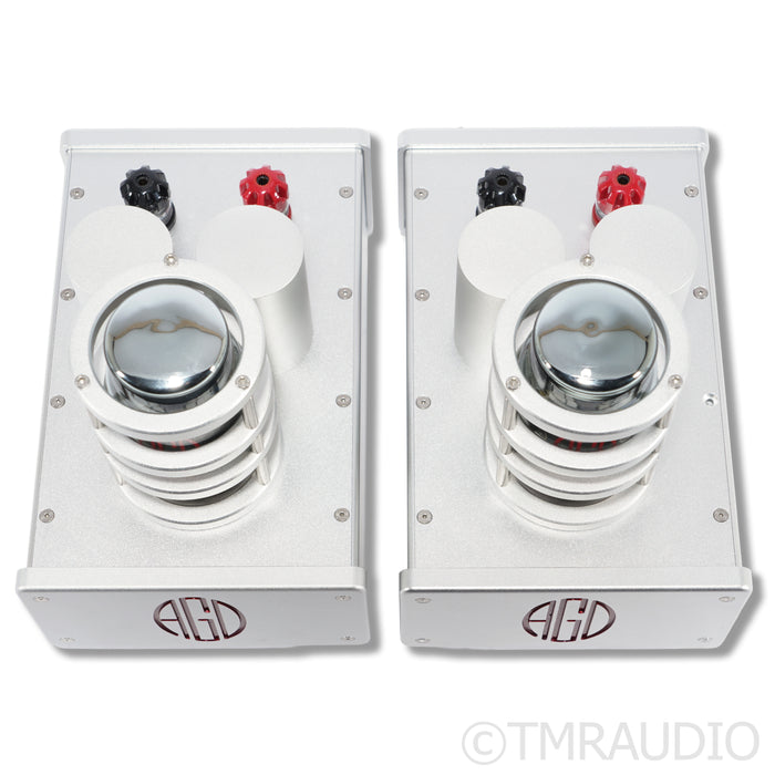 AGD Productions The Audion MkIII MonoBlock Power Amplifier Pair w/ Upgraded PS