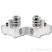 AGD Productions The Audion MkIII MonoBlock Power Amplifier Pair w/ Upgraded PS