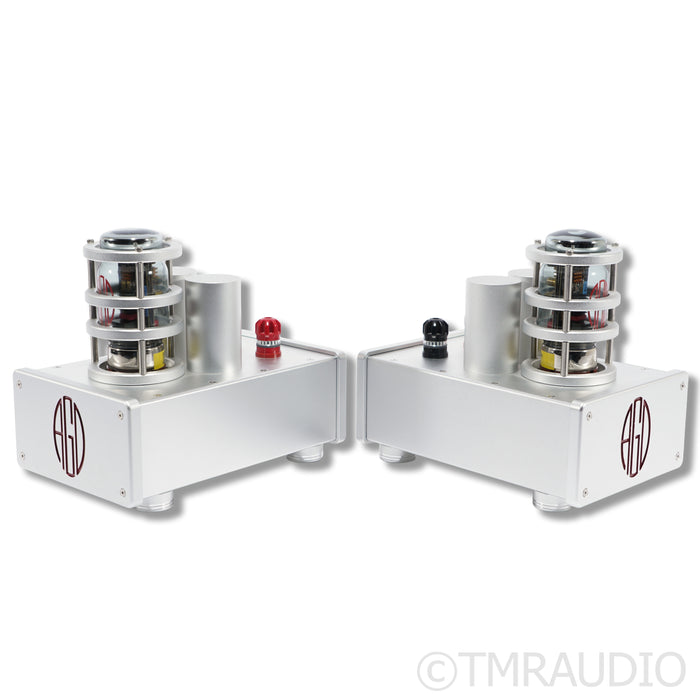 AGD Productions The Audion MkIII MonoBlock Power Amplifier Pair w/ Upgraded PS
