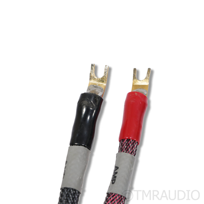 MIT Oracle V2 Speaker Cables; 10ft Pair