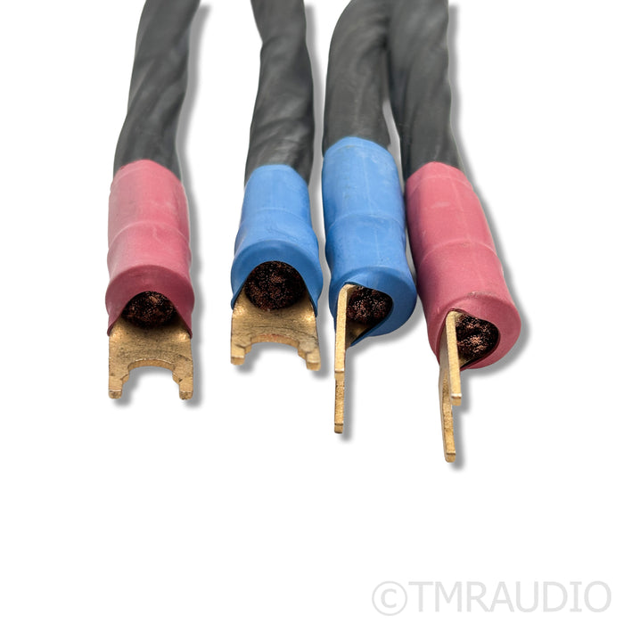 Kubala-Sosna Elation! Speaker Cables; 2m Pair