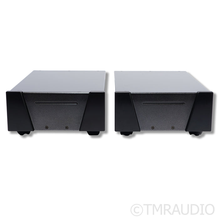Wyred 4 Sound SX-1000R Monoblock Power Amplifier; Pair