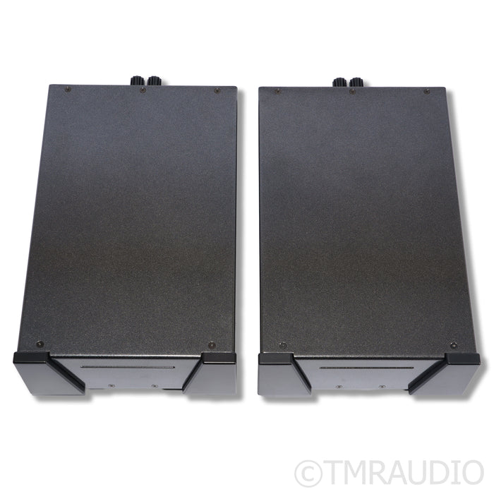 Wyred 4 Sound SX-1000R Monoblock Power Amplifier; Pair