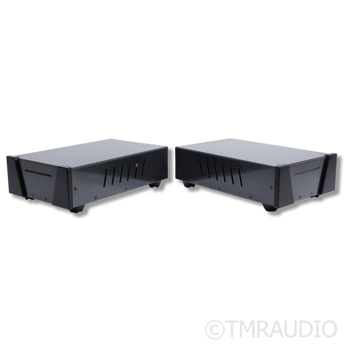 Wyred 4 Sound SX-1000R Monoblock Power Amplifier; Pair