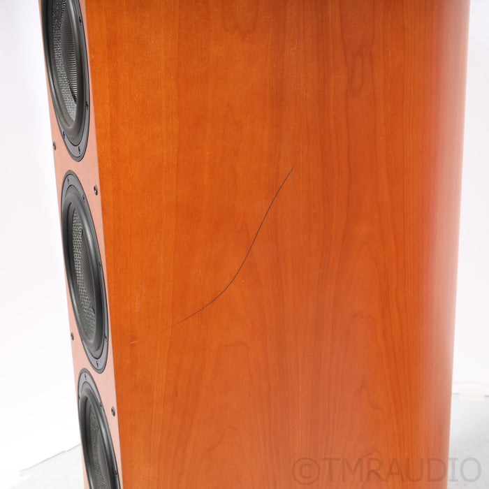 Bowers & Wilkins 803D Floorstanding Speakers; Cherry