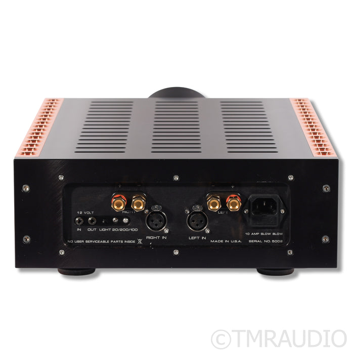 Dan D'Agostino Momentum S250 MxV Power Amplifier