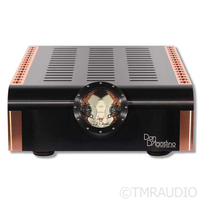 Dan D'Agostino Momentum S250 MxV Power Amplifier