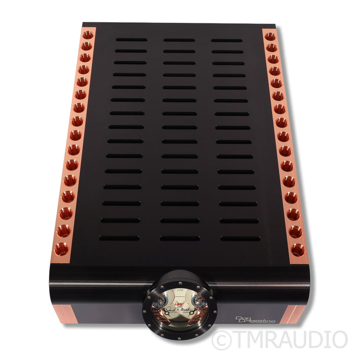 Dan D'Agostino Momentum S250 MxV Power Amplifier