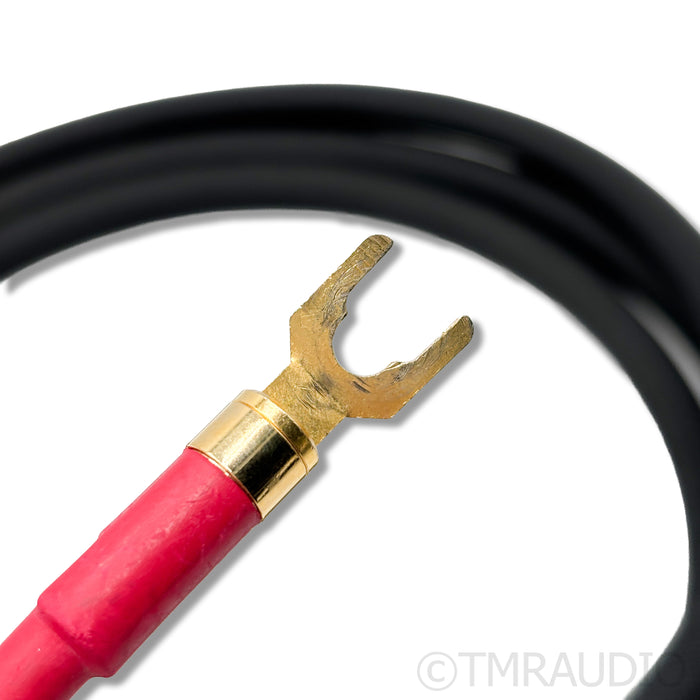 Shunyata Research Delta v1 Speaker Cables; 3m Pair