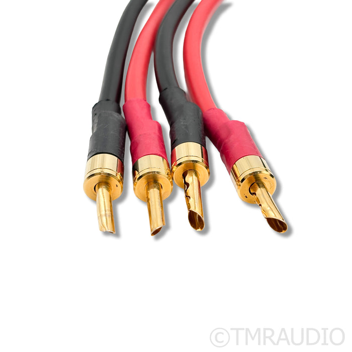 Shunyata Research Delta v1 Speaker Cables; 3m Pair