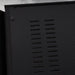 Pass Labs XA100.5 Monoblock Power Amplifiers