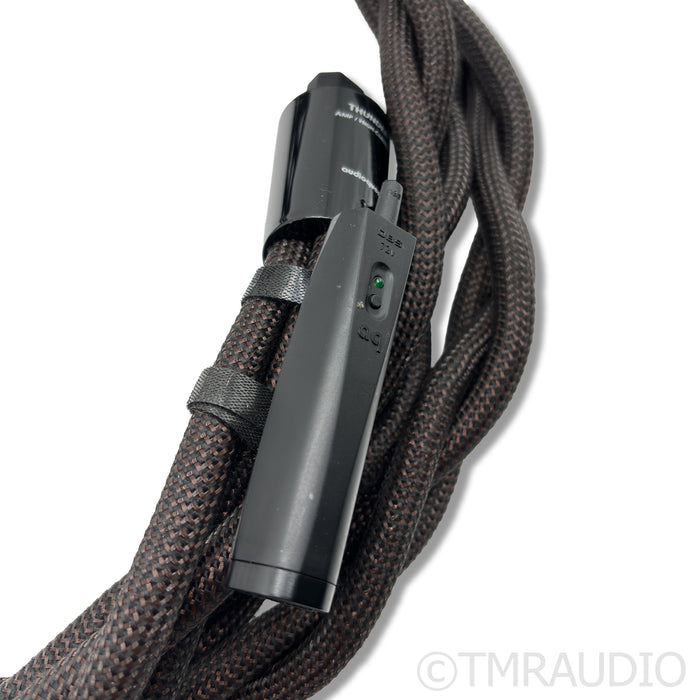 AudioQuest Thunder High (Variable) Current Power Cable; 3m AC Cord