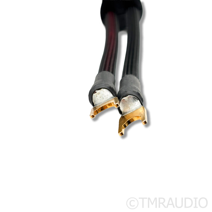 Transparent Audio Ultra G5 Speaker Cable; 8ft Single
