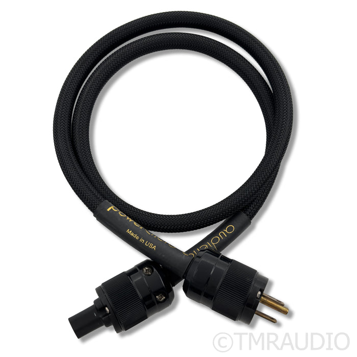 Audience powerChord e Power Cable; 4ft AC Cord