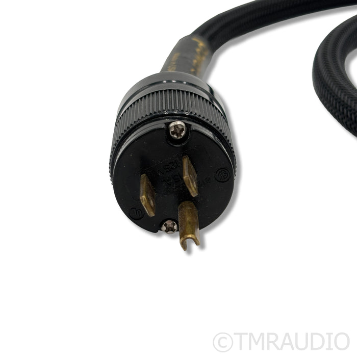 Audience powerChord e Power Cable; 4ft AC Cord