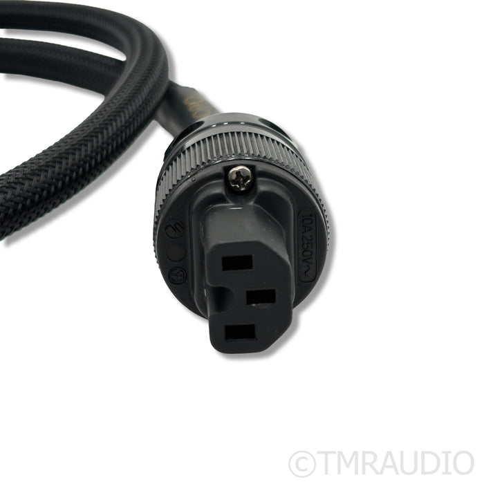 Audience powerChord e Power Cable; 4ft AC Cord
