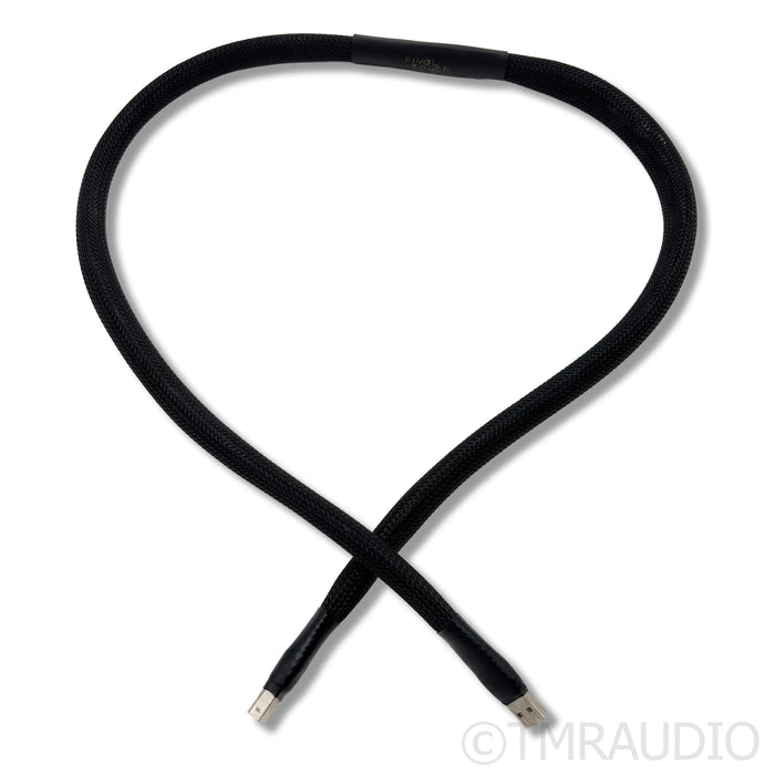 Final Touch Audio Callisto USB A to B Cable; 1m Single