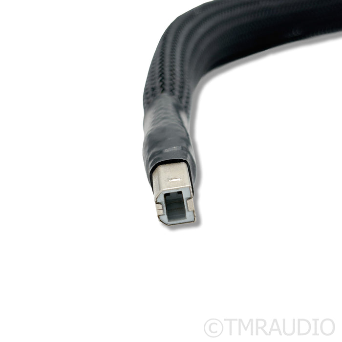 Final Touch Audio Callisto USB A to B Cable; 1m Single