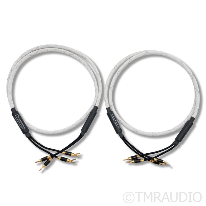 WyWires Platinum Series Speaker Cables; 2m Pair