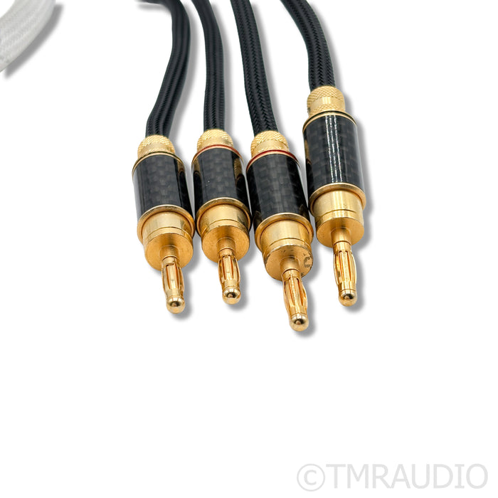 WyWires Platinum Series Speaker Cables; 2m Pair
