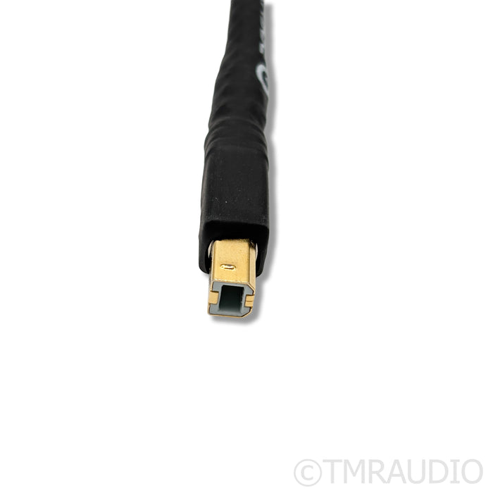Ansuz Digitalz USB A3 Gen 3 USB Cable; 2m Single
