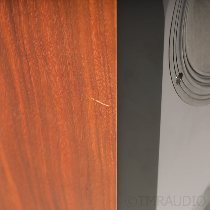 MoFi Electronics SourcePoint 888 Floorstanding Speakers