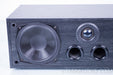 B&W DM600i (IFS)