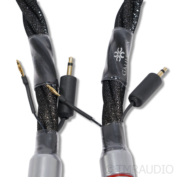 Synergistic Research Galileo SX XLR Interconnects; 1.5m Cable Pair