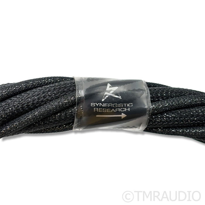 Synergistic Research Galileo UEF Power Cable; 5ft AC Cord