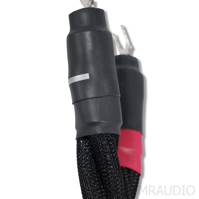 Synergistic Research Galileo UEF Speaker Cables; 8ft Pair