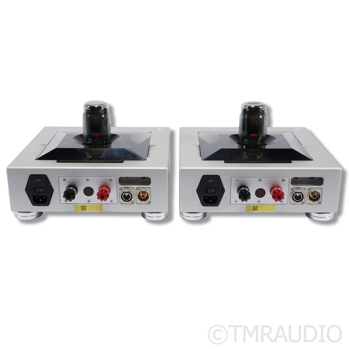 AGD Productions Inc. Gran Vivace Hybrid Monoblock Power Amplifiers; Pair