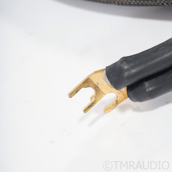 Transparent Audio MusicWave Ultra MM2 Speaker Cables; 8ft Pair