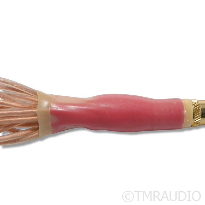 Jena Labs Pathfinder Cryo RCA Cables; 1m