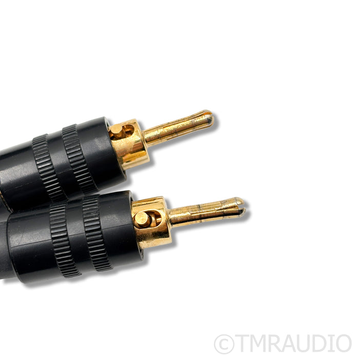 Transparent Audio Ultra G5 Speaker Cable; 6ft Single