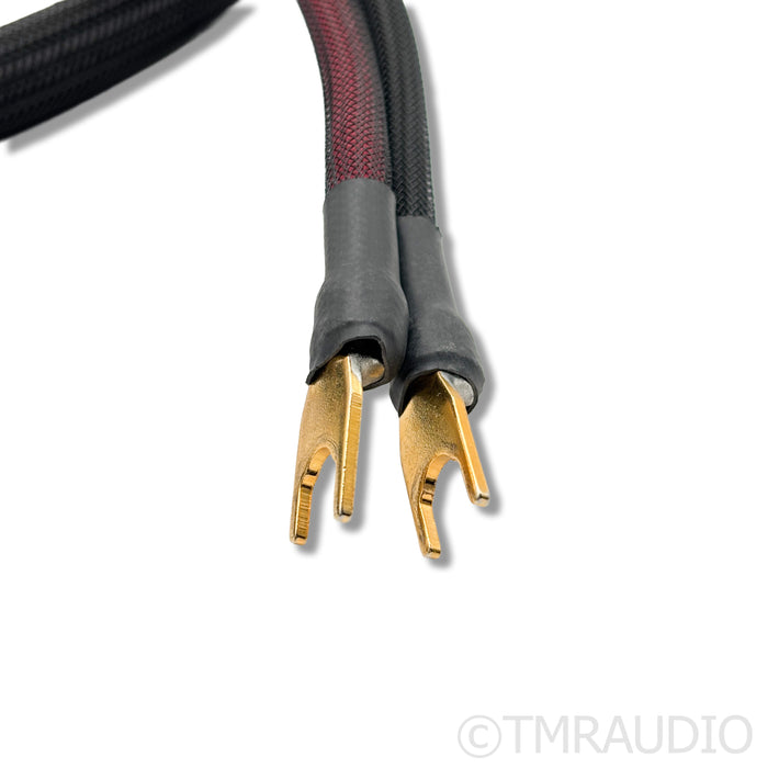 Transparent Audio Ultra G5 Speaker Cable; 6ft Single