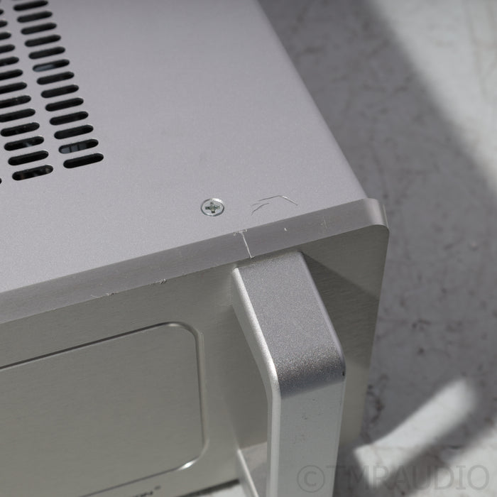 Audio Research DS450M MonoBlock Power Amplifier; Pair