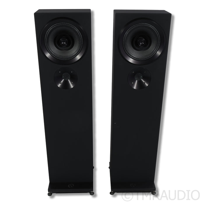 Zu Audio Druid MK VI Floorstanding Speakers