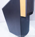 Martin Logan Ascent