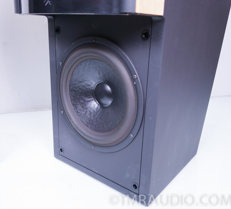 Martin Logan Ascent