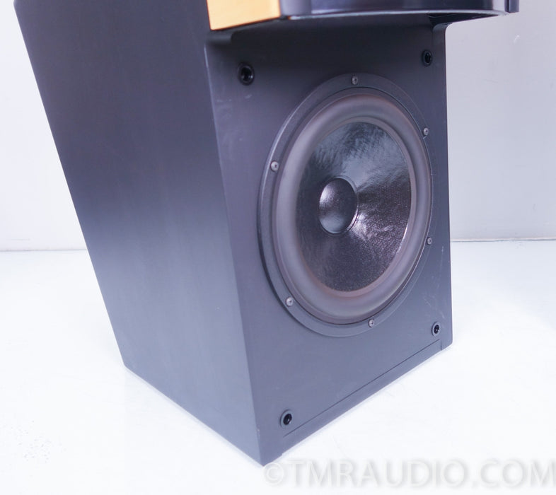 Martin Logan Ascent