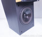 Martin Logan Ascent