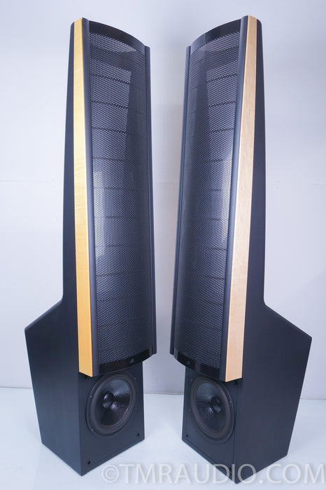 Martin Logan Ascent